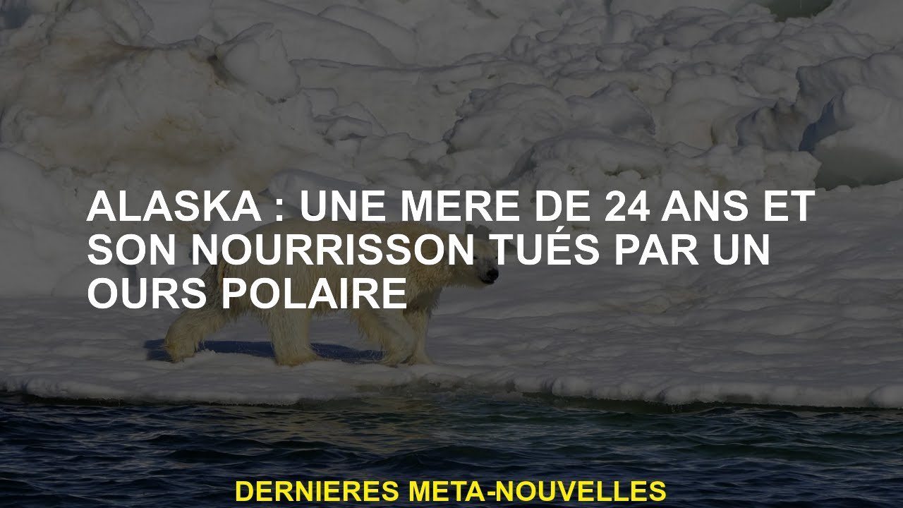 Alaska: une mère de 24 ans et son bébé tué par un ours polaire
