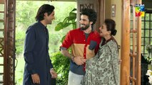 Dil Ruba - Episode 02 - [HD] - { Hania Amir - Syed Jibran } -  Drama