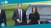 Meghan Markle sur un site pour adultes, le prince Harry dégoûté et gêné : 