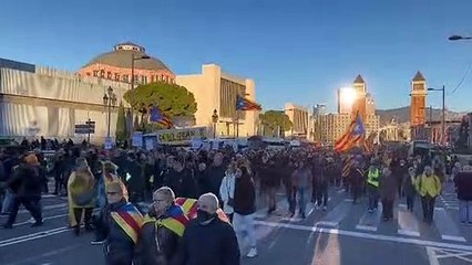 Una riuada de manifestants arriba a la protesta contra la cimera Sánchez-Macron
