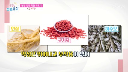 막혀 있는 혈관 관리에 도움 주는 구기자 TV CHOSUN 230119 방송