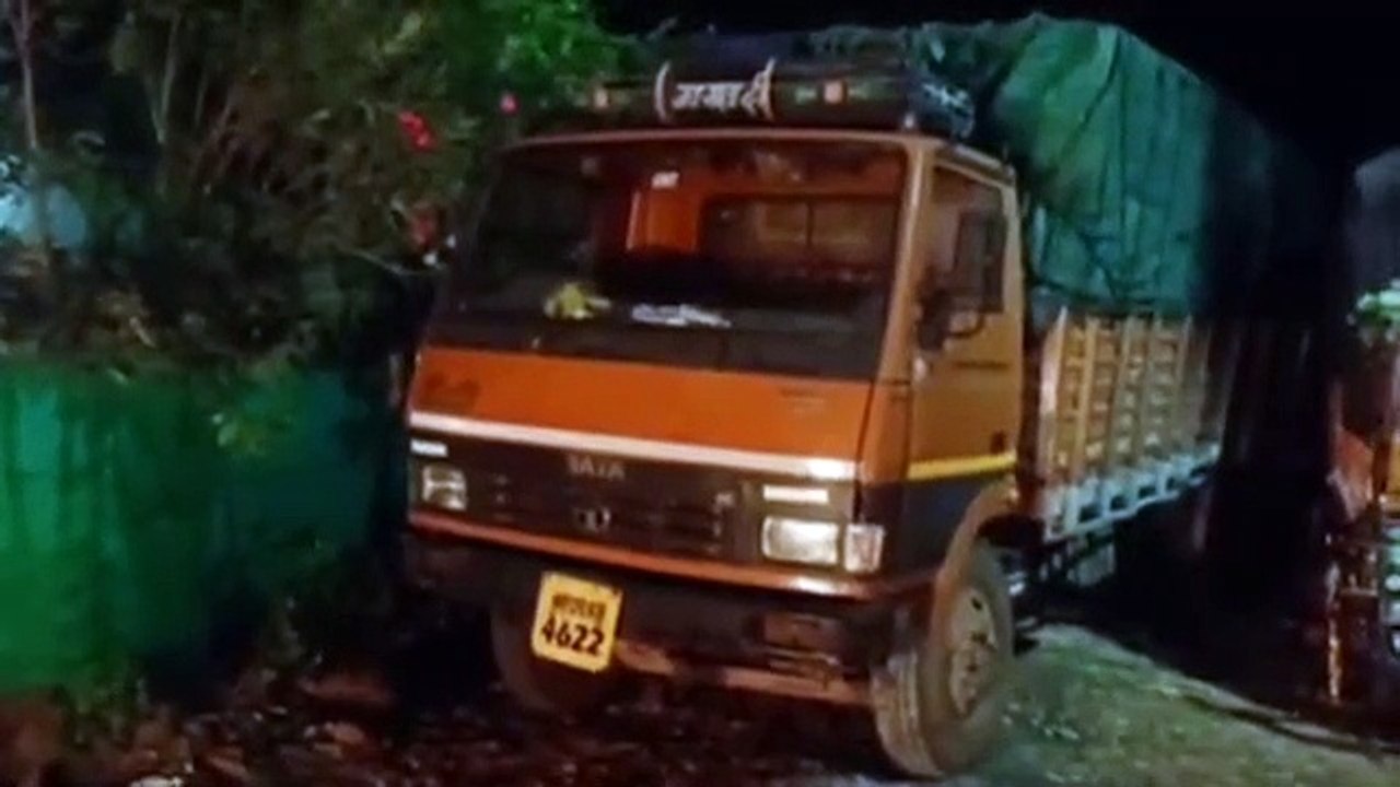 Green Neem trees were being cut