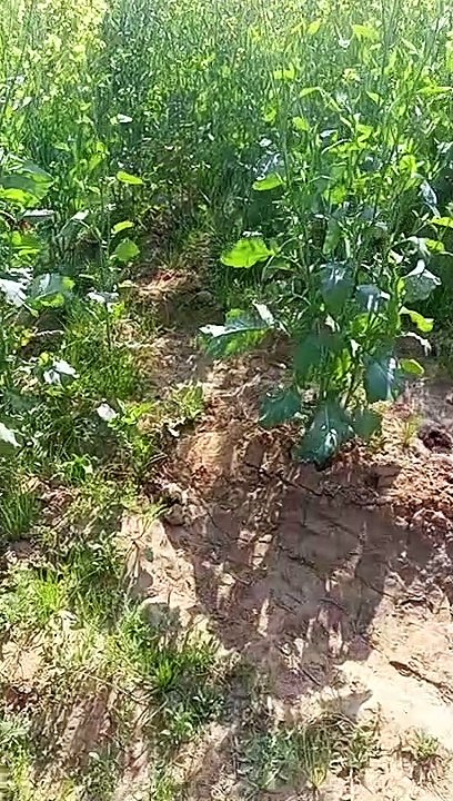 VID_20230119_133410