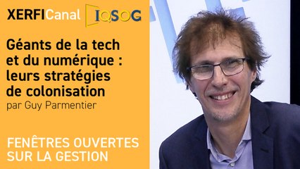 Géants de la tech et du numérique : leurs stratégies de colonisation [Guy Parmentier]