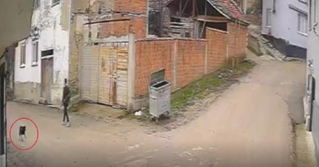 KOVALADIĞI KÖPEĞİ ÖLDÜREN ŞÜPHELİ, DAKİKALAR ÖNCE BİR BAŞKA KÖPEĞİ DAHA VURMUŞ