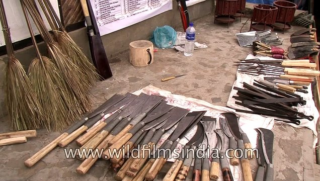 Tools which Naga tribes use daily showcased in Hornbill Festival