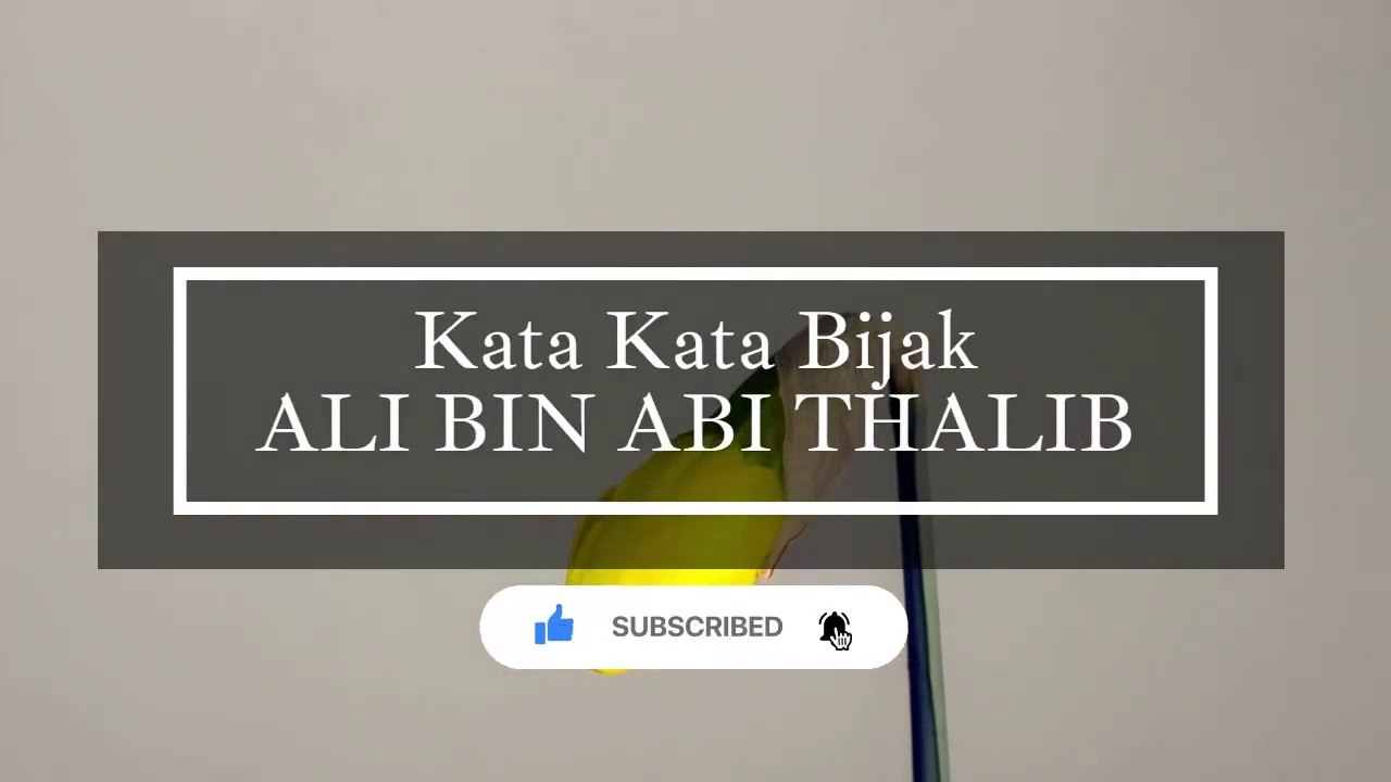 Kata Kata Bijak Islami Ali Bin Abi Thalib _ Quotes Islami