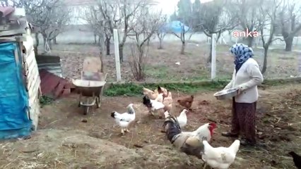 Çambükü'nde mera alanları elllerinden alınan üretici: Çare kalmadı, hayvanlarımı kesime gönderiyorum