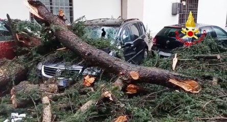Maltempo, centinaia di interventi dei Vigili del Fuoco tra Lazio e Campania (19.01.23)