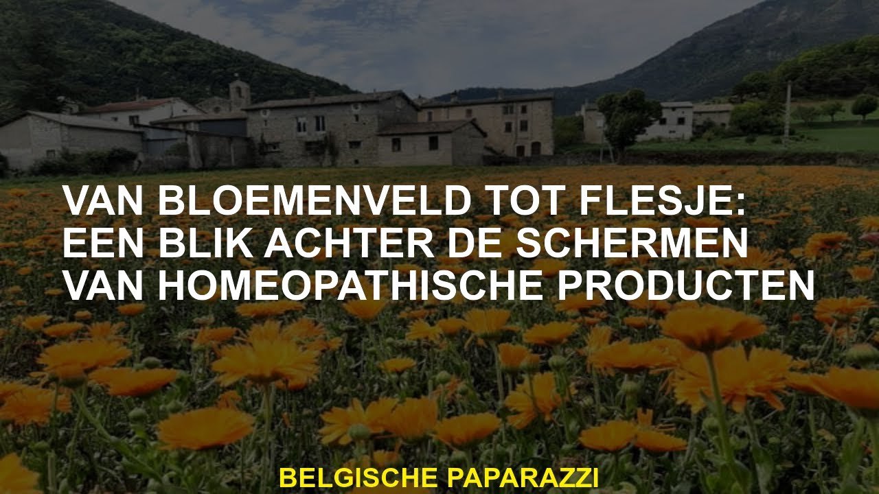 Van bloemenveld tot fles: een blik achter de schermen van homeopathische producten