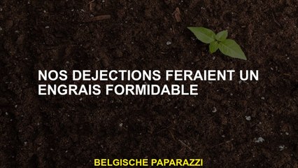 Nos excréments feraient un grand engrais