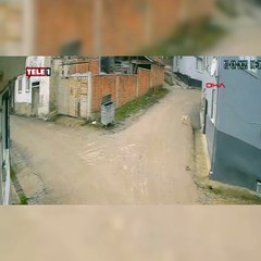 Kovaladığı köpeği katleden caninin yanından geçen köpeği de vurduğu ortaya çıktı