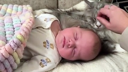 Cat Has Special Bond With Newborn Baby_ (Cutest Ever__)(360P)