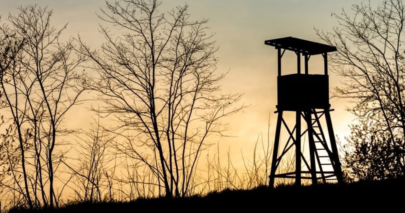 Deux chasseurs ont été interpellés alors qu'ils tiraient sur des lapins la nuit, sans aucune visibilité et totalement ivres