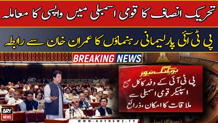 PTI return in NA: Party parliamentary leaders coordinates Imran Khan