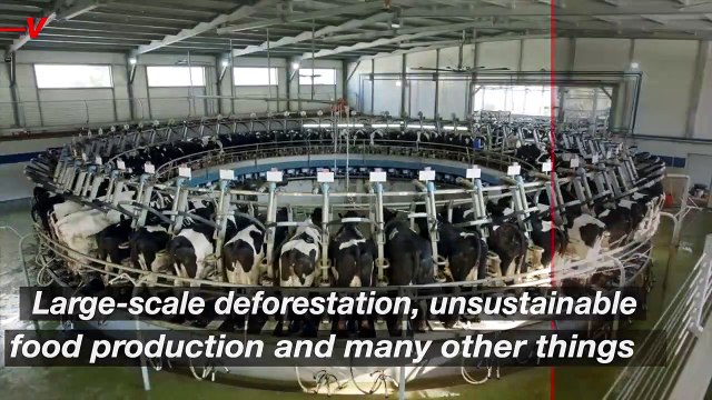 Climate Change Myths You Need to Debunk Now