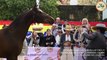 Presentación en Fitur del 'Otoño del caballo' de Córdoba