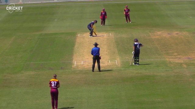 Queensland wrap up bonus-point win after Harris fireworks _ WNCL 2022-23