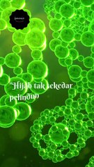 Hijab tak sekedar pelindung bagi wanita#short#shorts#dailymotionshort