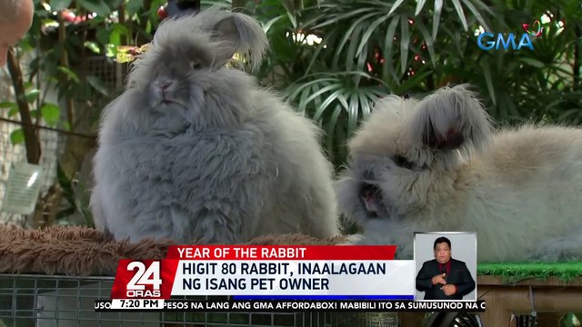 Feng shui expert: sumisimbolo sa magandang relasyon ang rabbit | 24 Oras