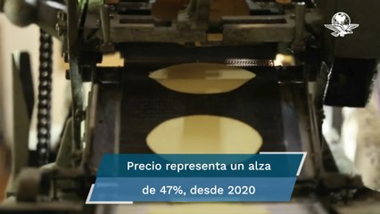 Precio de la tortilla, lejos de una baja considerable