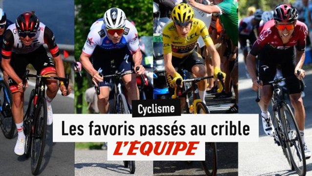 Les favoris à la loupe - Cyclisme - World Tour