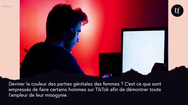 La nouvelle lubie des trolls misogynes ? Deviner la couleur des parties génitales des femmes,