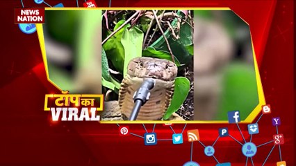 Viral Videos : देखिए सोशल मीडिया पर वायरल वीडियो का Countdown |
