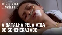 A batalha pela vida de Scheherazade | Mil e Uma Noites - Episódio 23