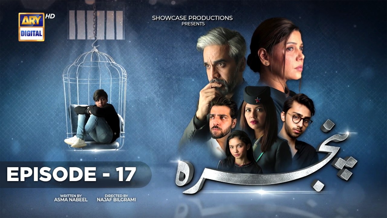 Pinjra Ep 17