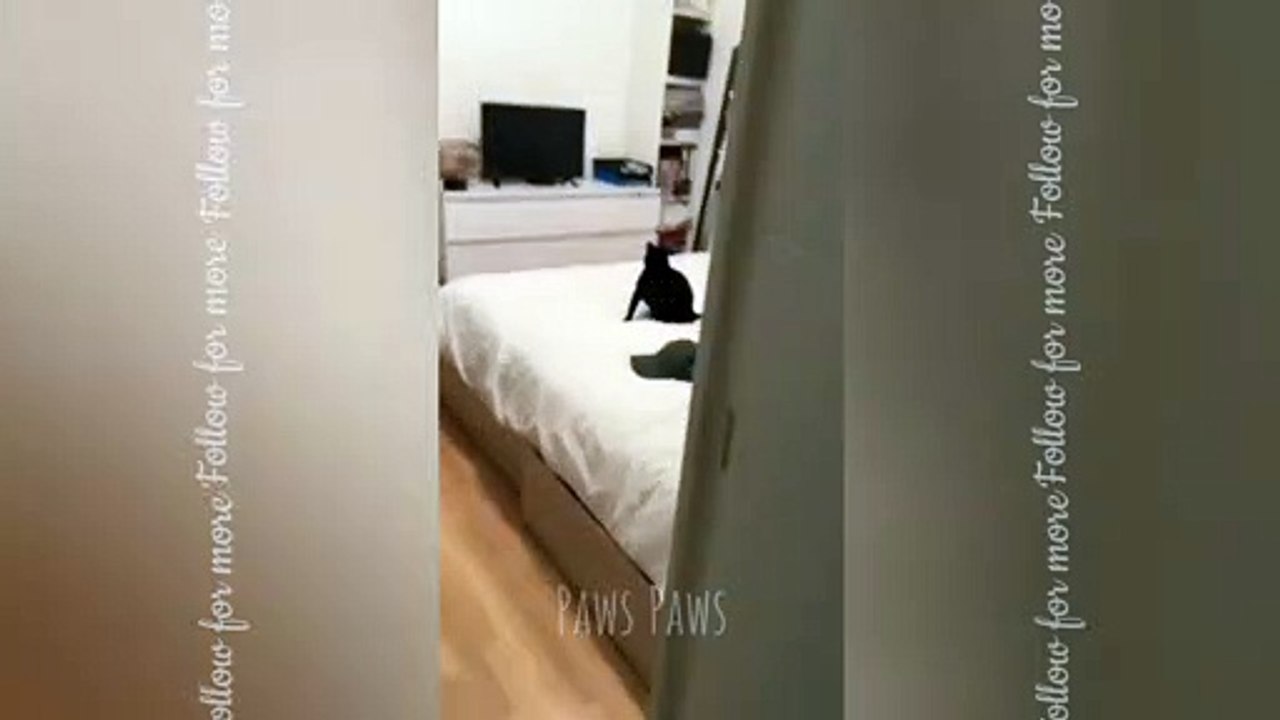 Reaction