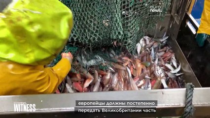 Ирландские рыбаки боятся разорения после "брексита"