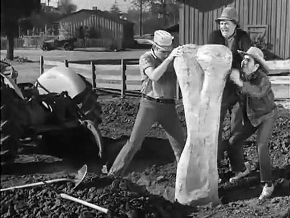 The Real McCoys - Se2 - Ep17 HD Watch