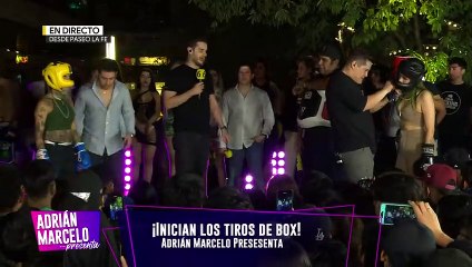 'Marie Bachitas' queda noqueada en muestra de box