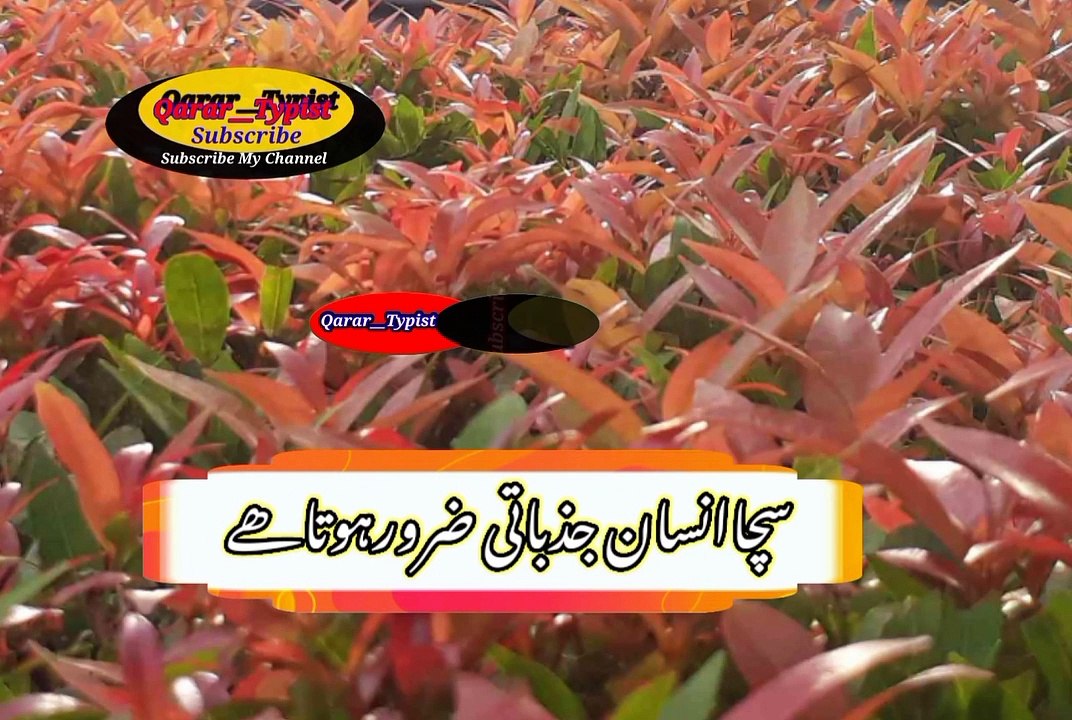 Magar munfiq naha hota | مگرمنافق نہیں ہوتا | qarar__typist