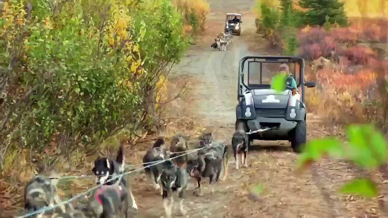 Building Alaska - Se11 - Ep01 - My Life Is in Your Hands HD Watch