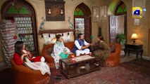 Qalandar   Episode 27 - Muneeb Butt - Komal Meer - Ali Abbas - Hiba Aziz -