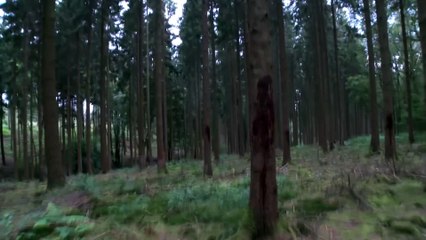 009 - UFO – Es ist hier (2016) [Horror-Mystery] Film (deutsch) ᴴᴰ