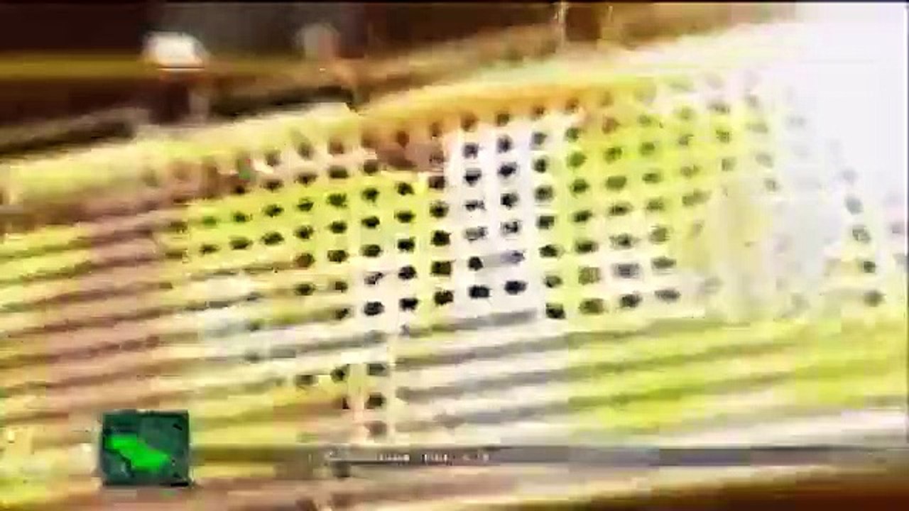 Celebrity Name Game - Se1 - Ep21 HD Watch