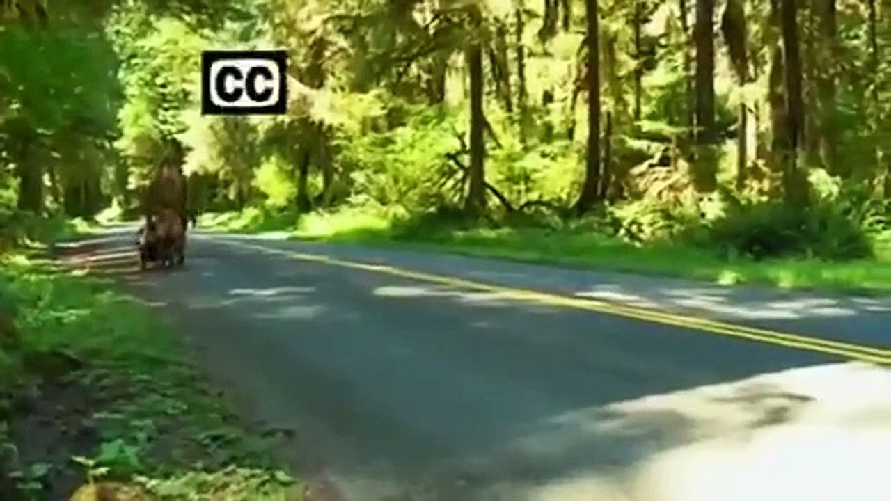 The Legend Of Mick Dodge - Se2 - Ep13 HD Watch