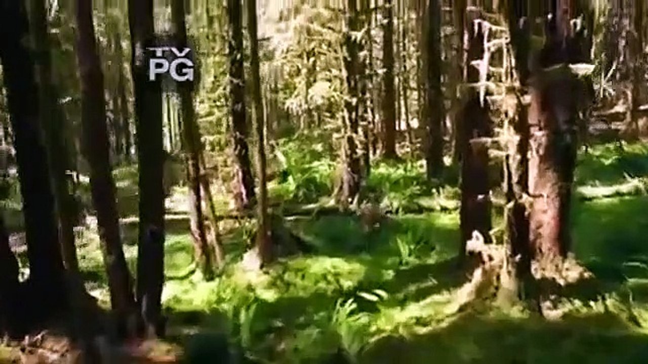 The Legend Of Mick Dodge - Se2 - Ep22 HD Watch