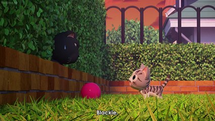 Chi's Sweet Home - Ep20 HD Watch