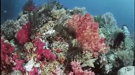 Tales By Light - Se3 - Ep03 HD Watch