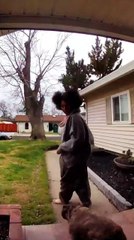 Pouncing on Pearl Before She Can Escape