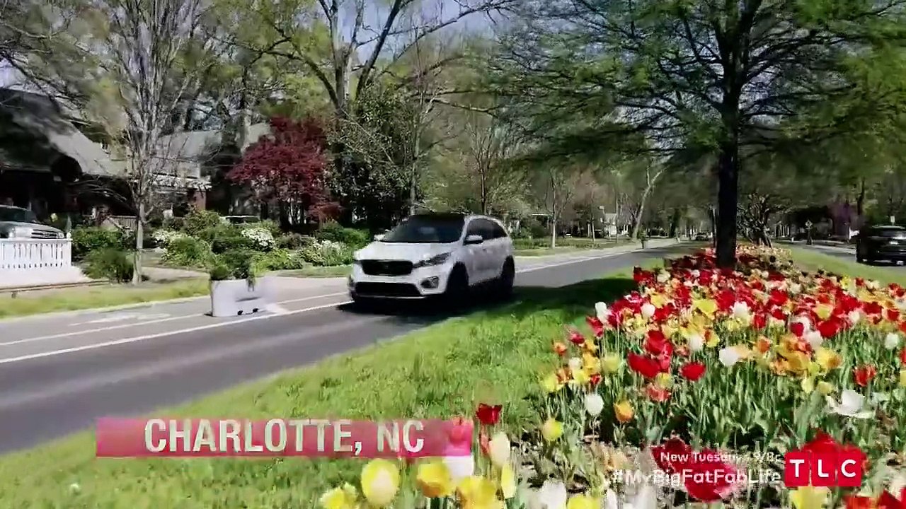 My big fat fabulous life - se8 - ep04 - safer at home hd watch