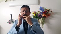 Gori tera gaon bada pyara-Film Chitchor 1976 on Harmonica Live Performance by Mukund Kamdar
