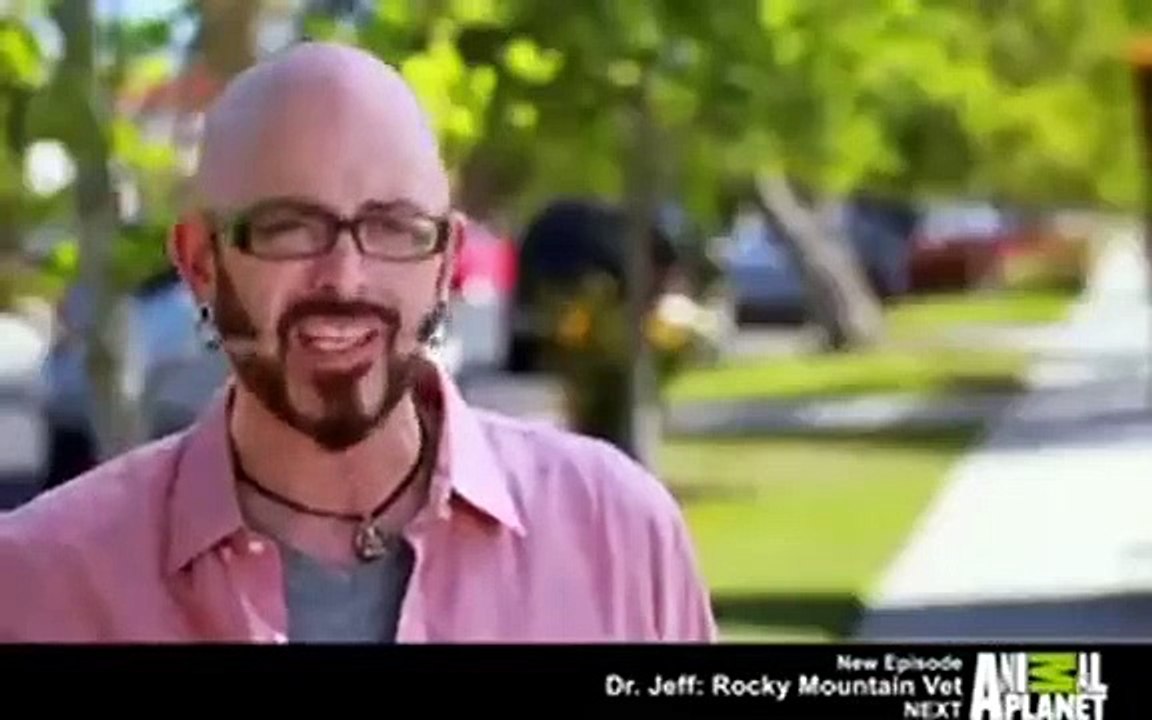 My Cat from Hell - Se8 - Ep09 - Felines and Frenemies HD Watch