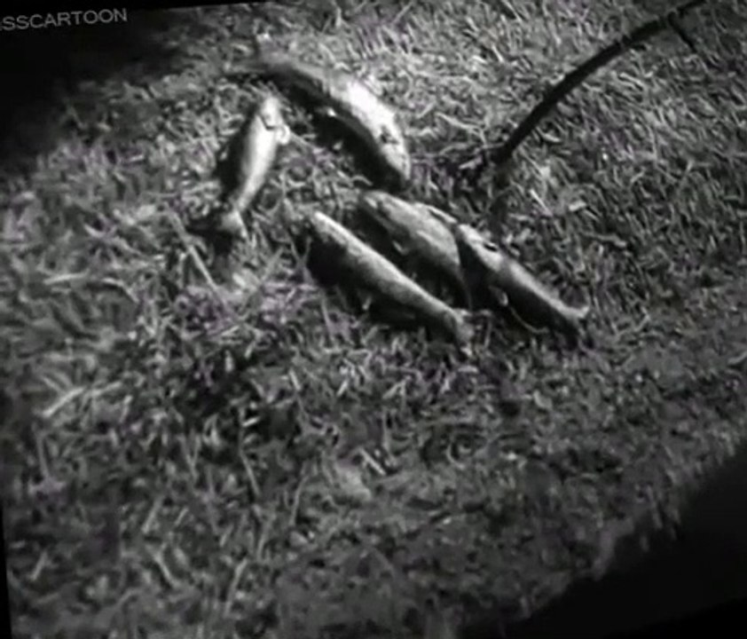 Four Feather Falls Four Feather Falls E014 Trapped