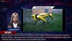 106825-mainBoston Dynamics Atlas Robot Can Now Grab and Toss, Like People Can - 1BREAKINGNEWS.COM