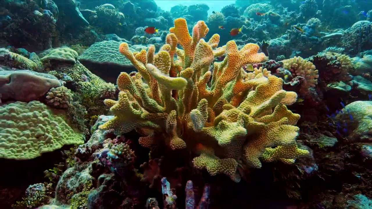 The Age of Nature - Se1 - Ep01 - Awakening HD Watch